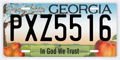 GA license plate PXZ5516