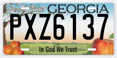 GA license plate PXZ6137