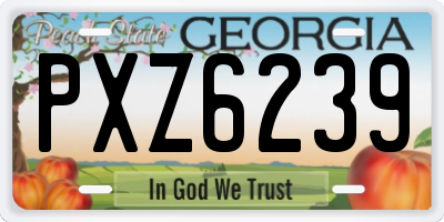GA license plate PXZ6239