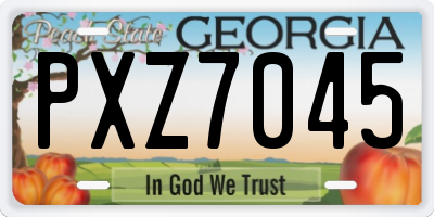 GA license plate PXZ7045