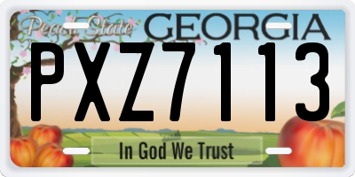 GA license plate PXZ7113