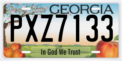 GA license plate PXZ7133