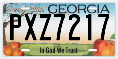 GA license plate PXZ7217