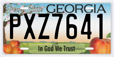 GA license plate PXZ7641