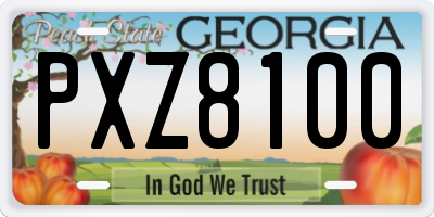 GA license plate PXZ8100
