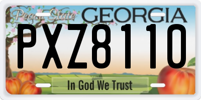 GA license plate PXZ8110