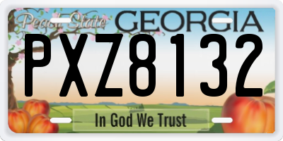 GA license plate PXZ8132