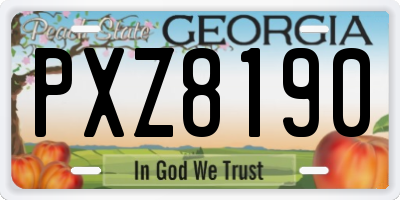 GA license plate PXZ8190