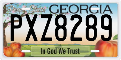 GA license plate PXZ8289