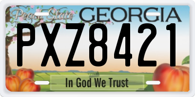 GA license plate PXZ8421