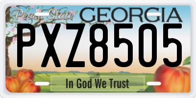 GA license plate PXZ8505