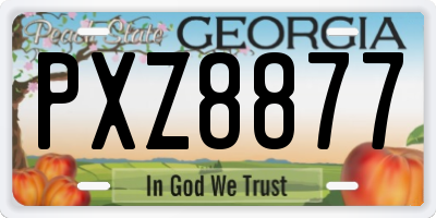 GA license plate PXZ8877
