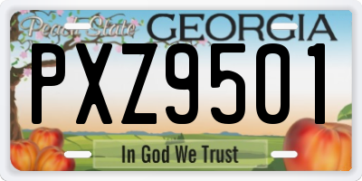 GA license plate PXZ9501