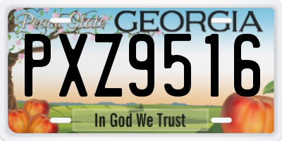 GA license plate PXZ9516