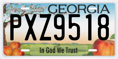 GA license plate PXZ9518