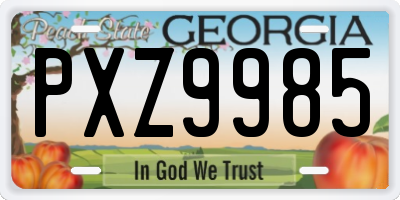 GA license plate PXZ9985