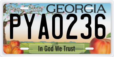 GA license plate PYA0236