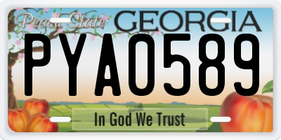 GA license plate PYA0589