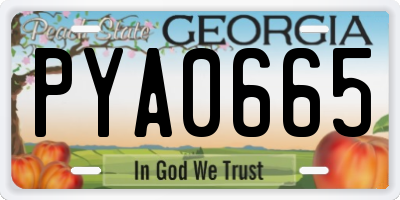 GA license plate PYA0665