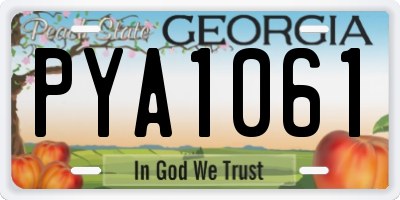 GA license plate PYA1061