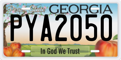 GA license plate PYA2050
