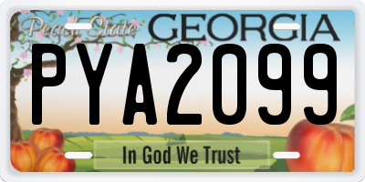 GA license plate PYA2099