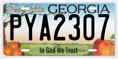 GA license plate PYA2307