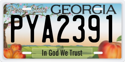 GA license plate PYA2391