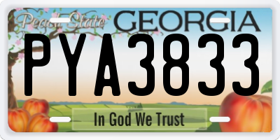 GA license plate PYA3833