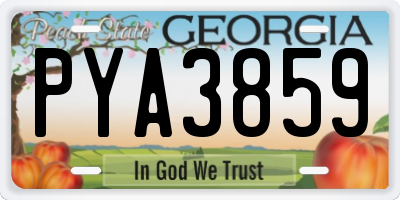 GA license plate PYA3859