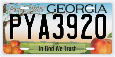 GA license plate PYA3920