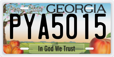 GA license plate PYA5015