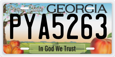 GA license plate PYA5263