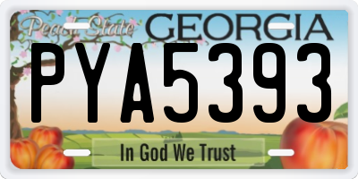 GA license plate PYA5393