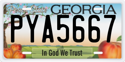 GA license plate PYA5667
