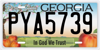 GA license plate PYA5739