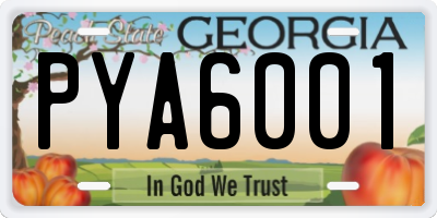 GA license plate PYA6001