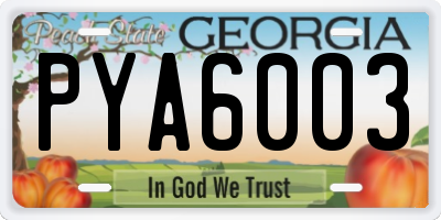 GA license plate PYA6003