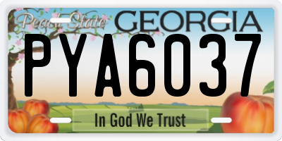GA license plate PYA6037