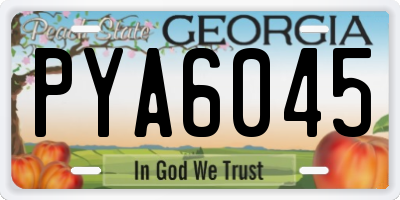 GA license plate PYA6045