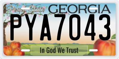 GA license plate PYA7043