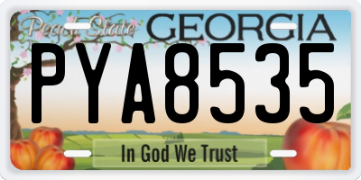 GA license plate PYA8535