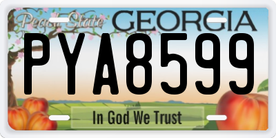 GA license plate PYA8599