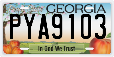 GA license plate PYA9103