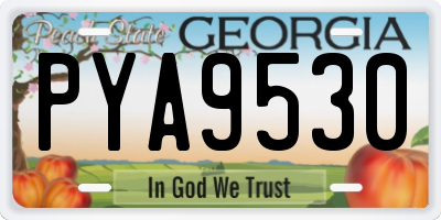 GA license plate PYA9530