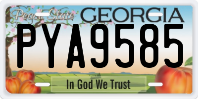 GA license plate PYA9585