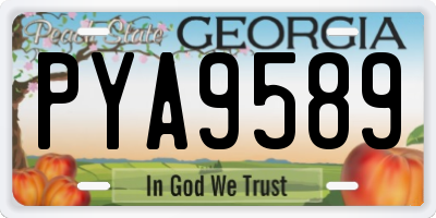 GA license plate PYA9589