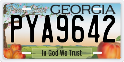 GA license plate PYA9642