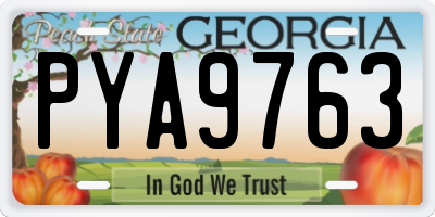 GA license plate PYA9763