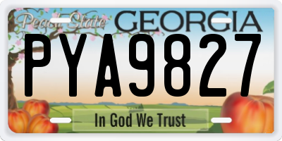 GA license plate PYA9827